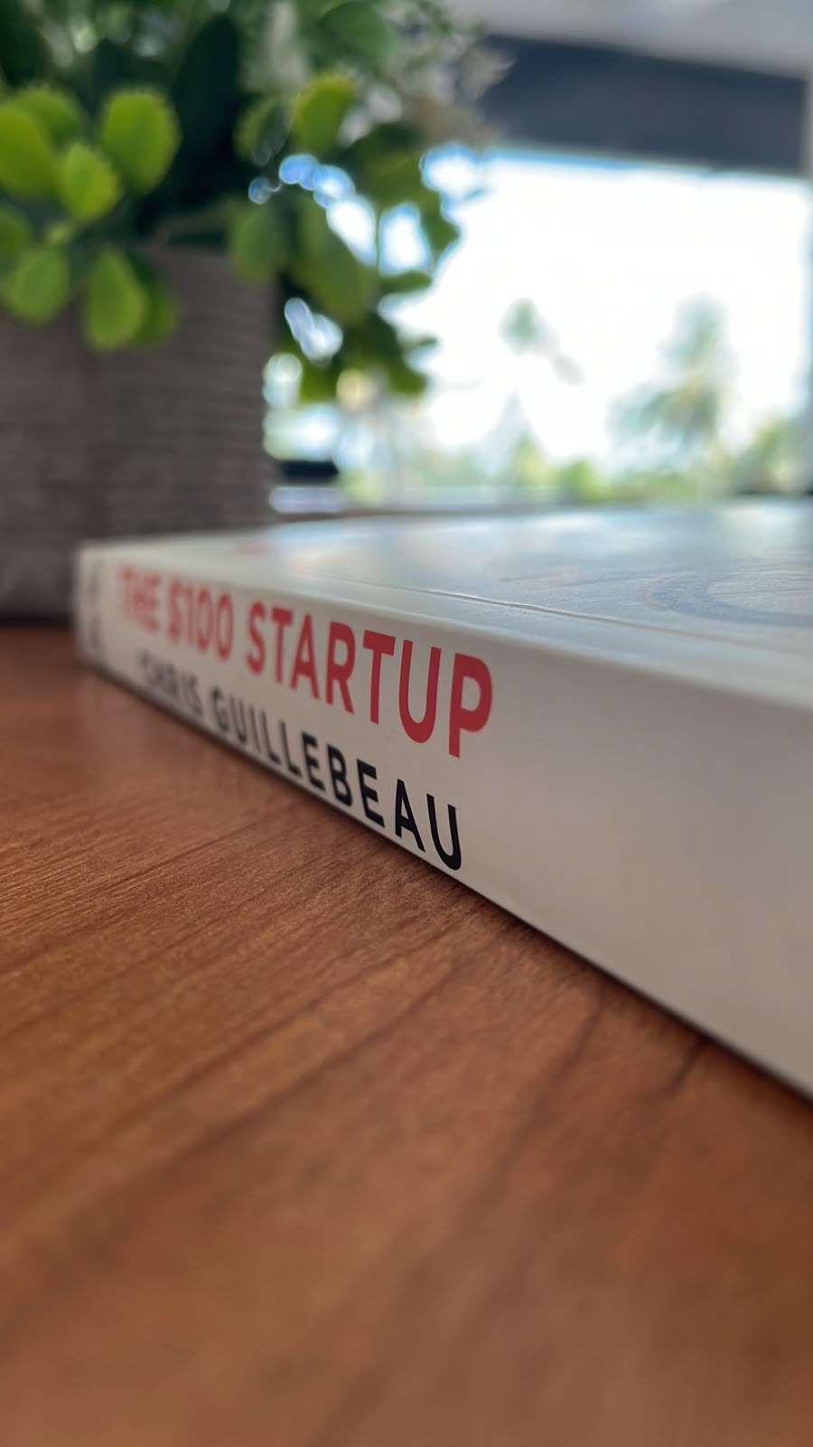 The $100 Startup by Chris Guillebeau The $100 Startup by Chris Guillebeau - Image 4