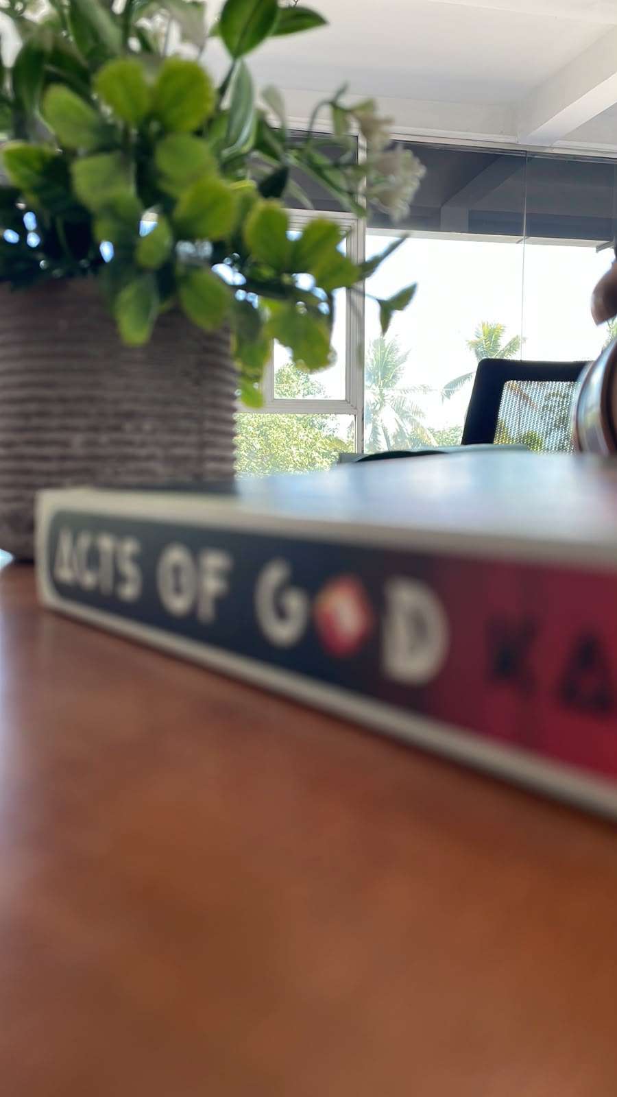 Acts of God By Ted Steinberg Acts of God By Ted Steinberg - Image 4