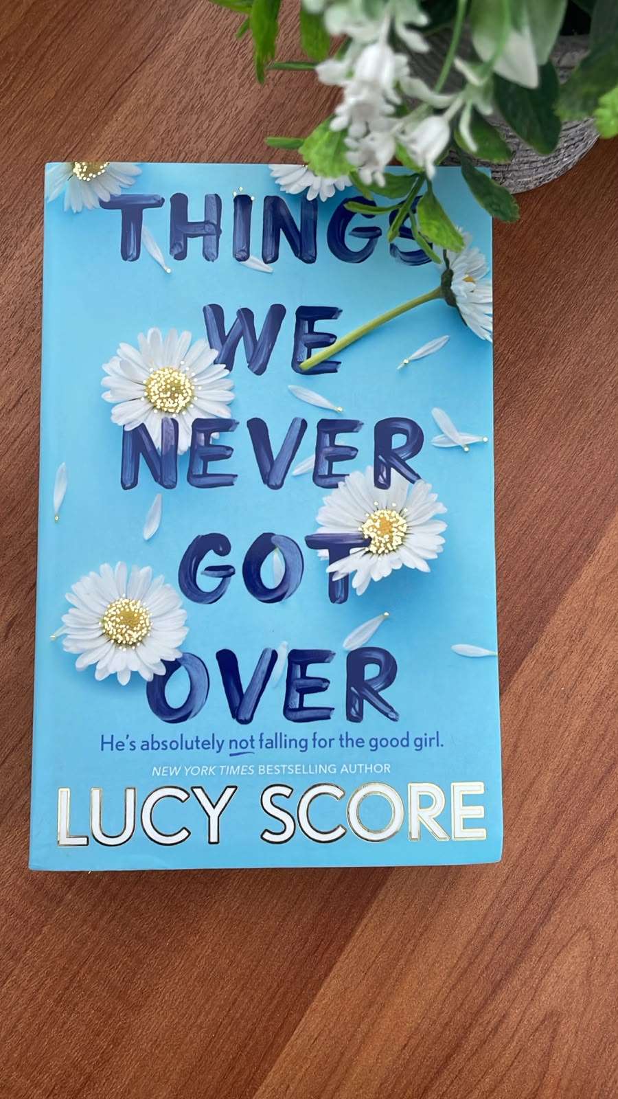 Things we never got over by Lucy Score Things we never got over by Lucy Score - Image 4