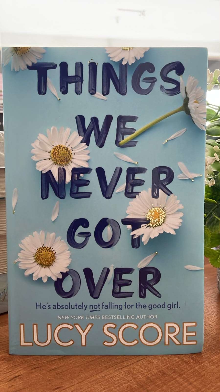 Things we never got over by Lucy Score Things we never got over by Lucy Score - Image 5