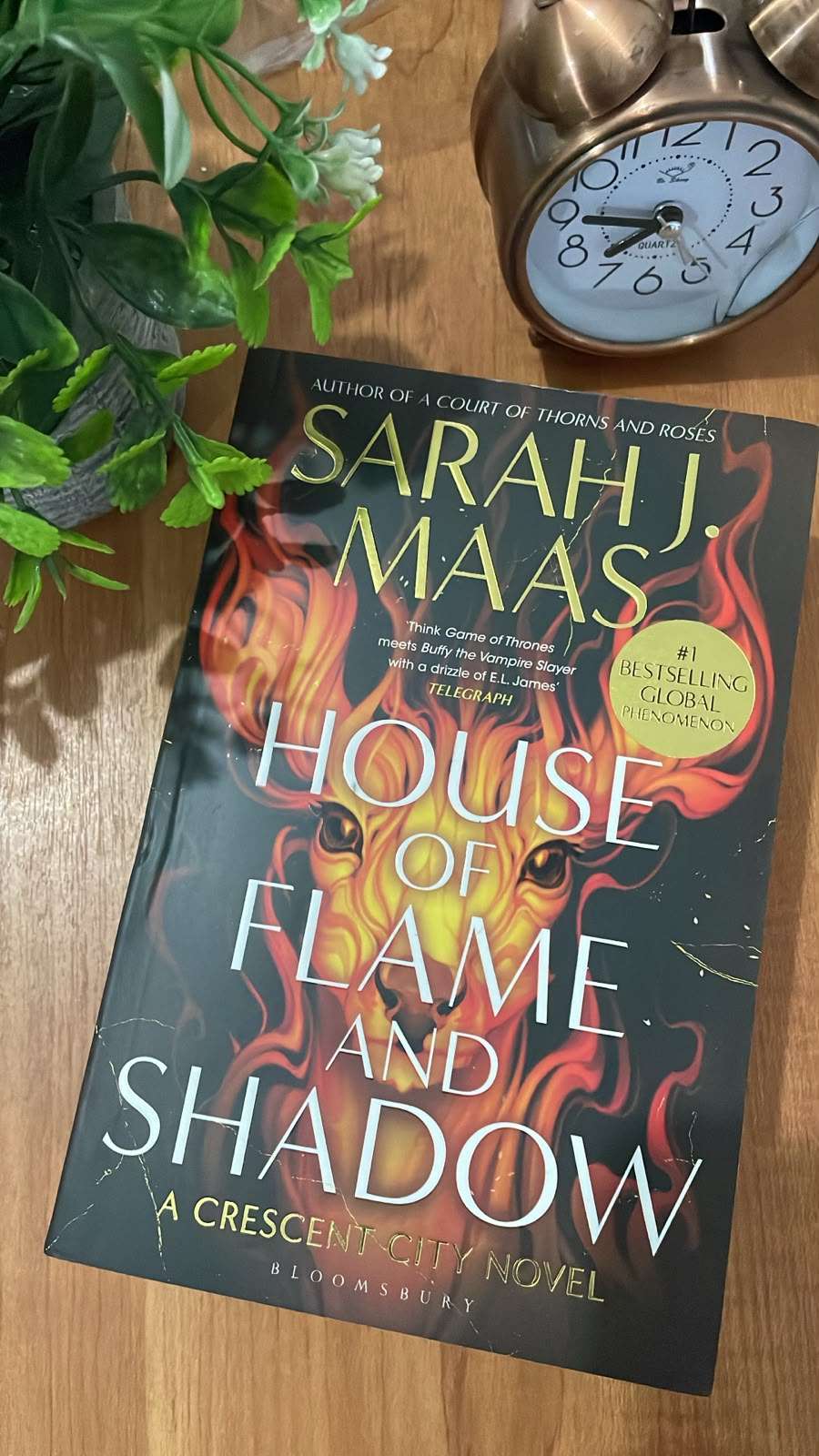 House of Flame and Shadow by Sarah J. Maas