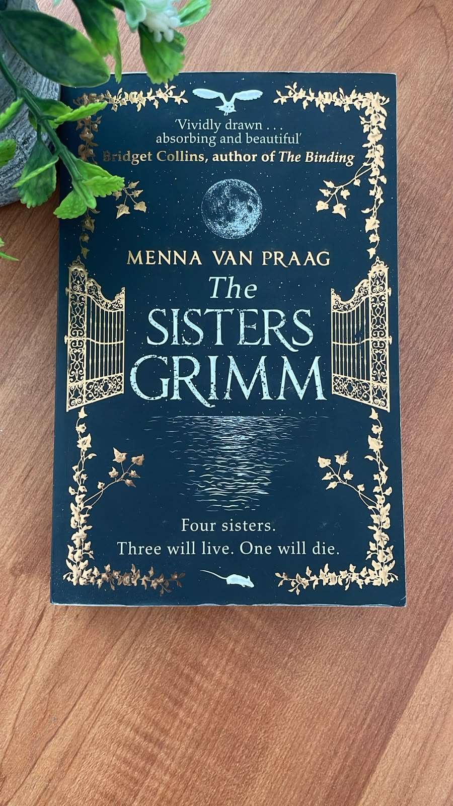 Sisters Grimm by Michael Buckley Sisters Grimm by Michael Buckley - Image 3