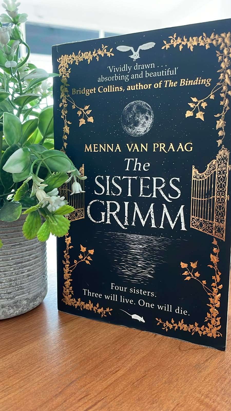 Sisters Grimm by Michael Buckley Sisters Grimm by Michael Buckley - Image 6